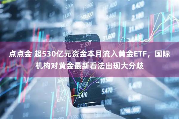 点点金 超530亿元资金本月流入黄金ETF，国际机构对黄金最新看法出现大分歧