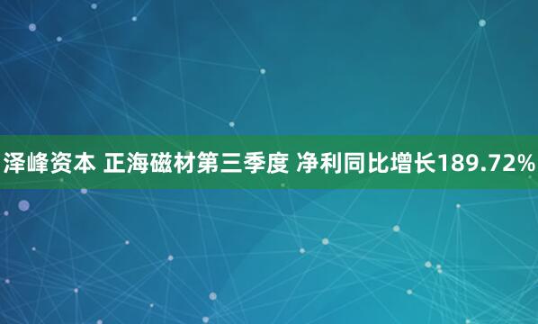 泽峰资本 正海磁材第三季度 净利同比增长189.72%