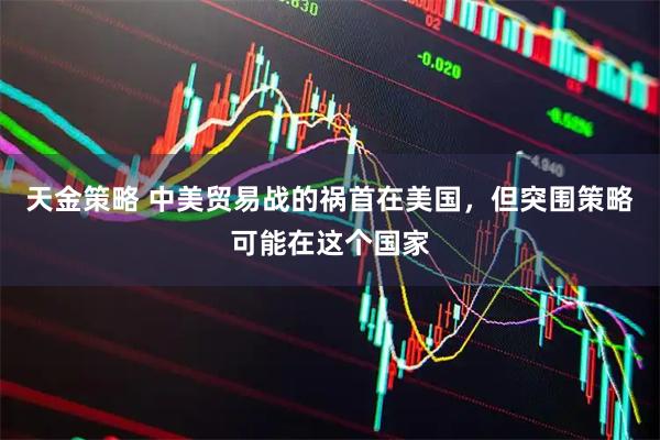 天金策略 中美贸易战的祸首在美国，但突围策略可能在这个国家