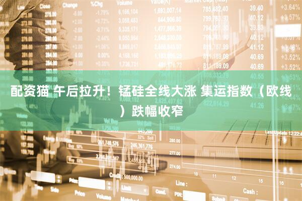 配资猫 午后拉升！锰硅全线大涨 集运指数（欧线）跌幅收窄